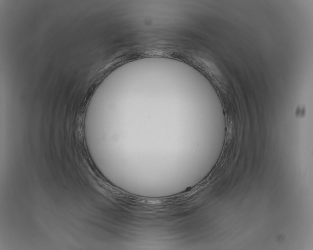 X0000091880409200709261356