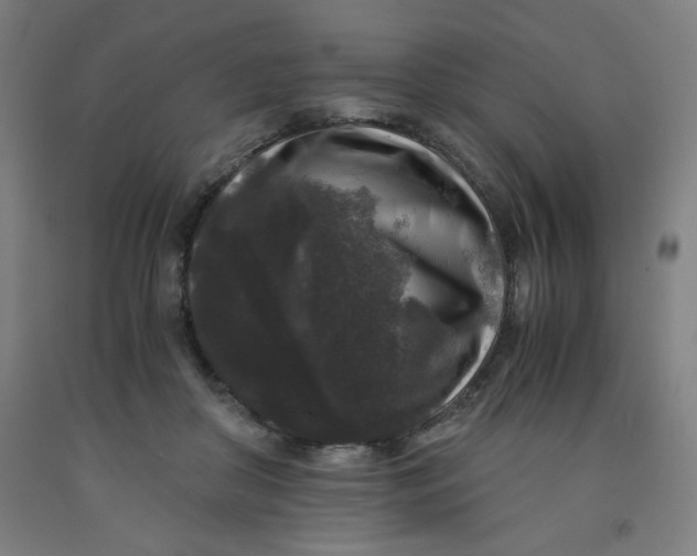 X0000091880410200709261356