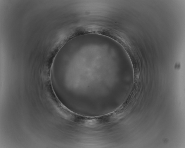 X0000091880411200709261356