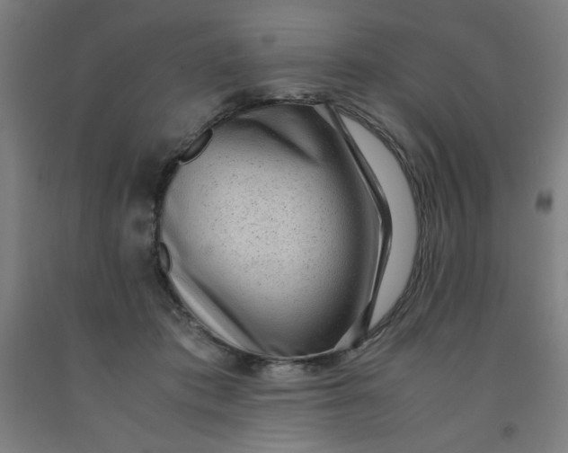 X0000091880413200709261356