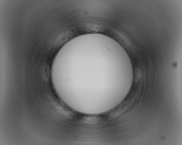 X0000091880414200709261355