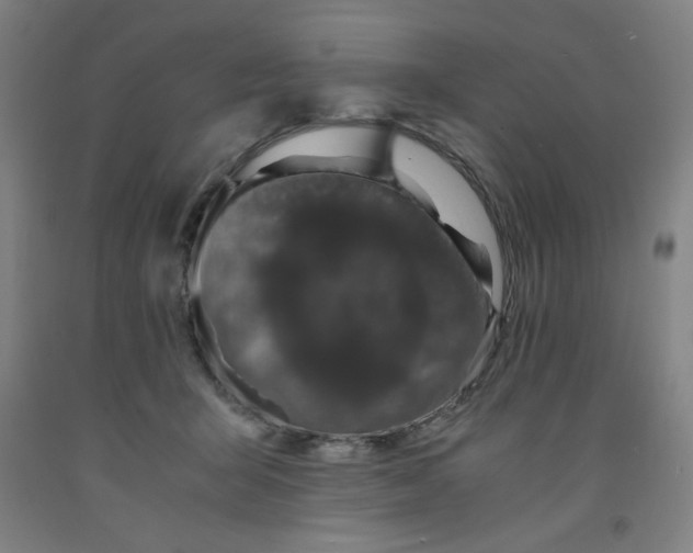 X0000091880415200709261355