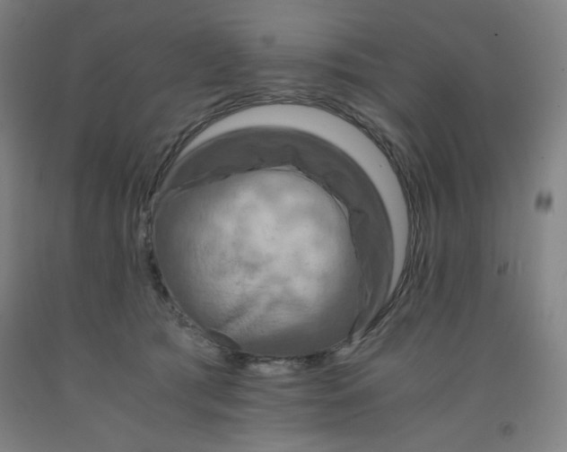 X0000091880417200709261355