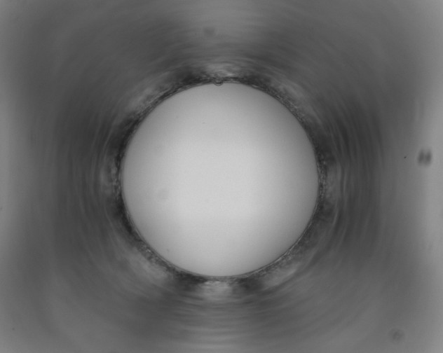 X0000091880418200709261355