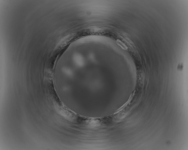 X0000091880419200709261355