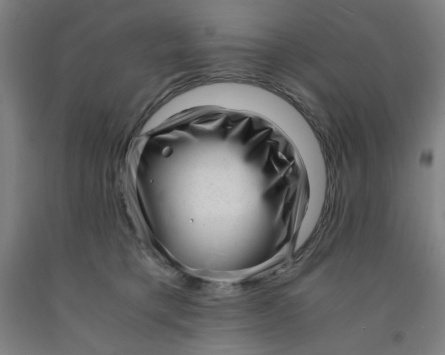 X0000091880421200709261355