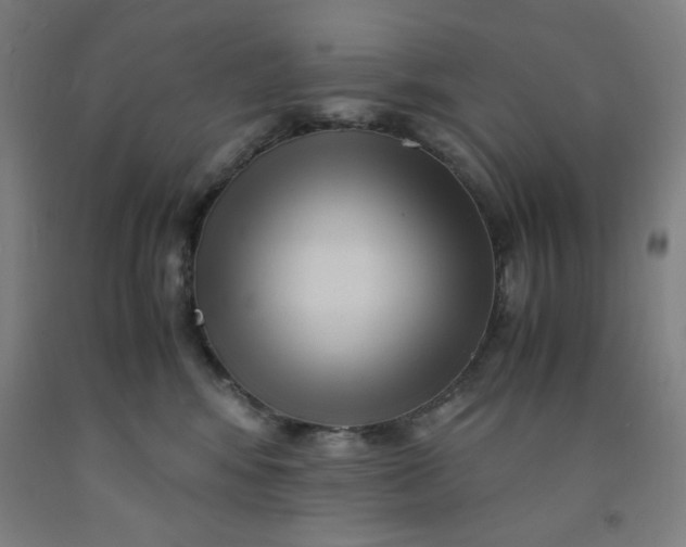 X0000091880424200709261355