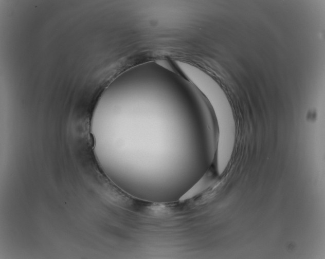 X0000091880425200709261355