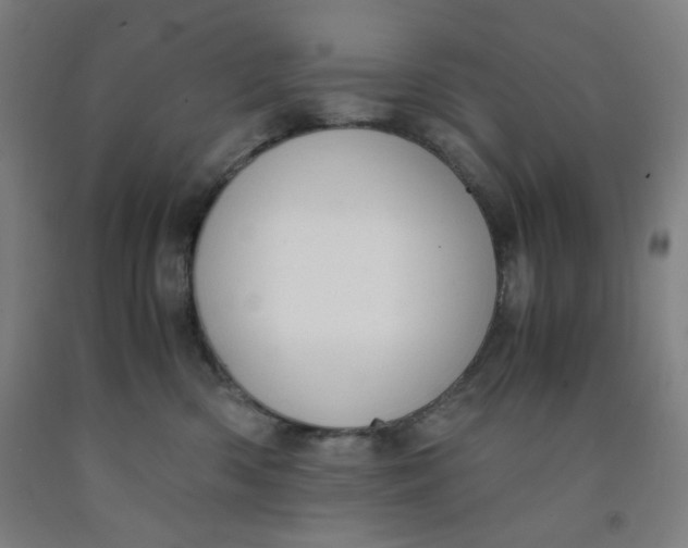 X0000091880426200709261355