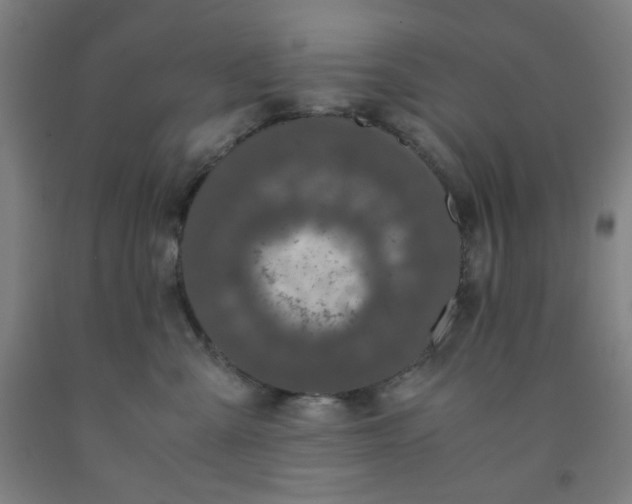 X0000091880427200709261355