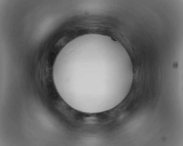 X0000091880430200709261355