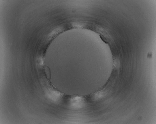 X0000091880431200709261355