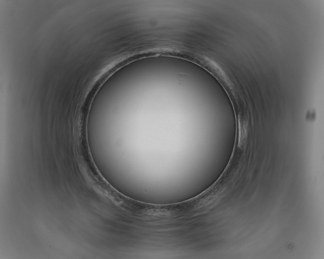 X0000091880435200709261354