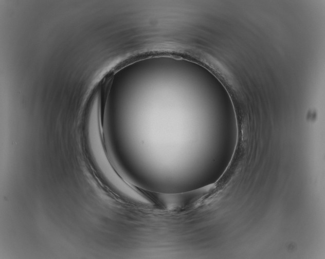 X0000091880436200709261354