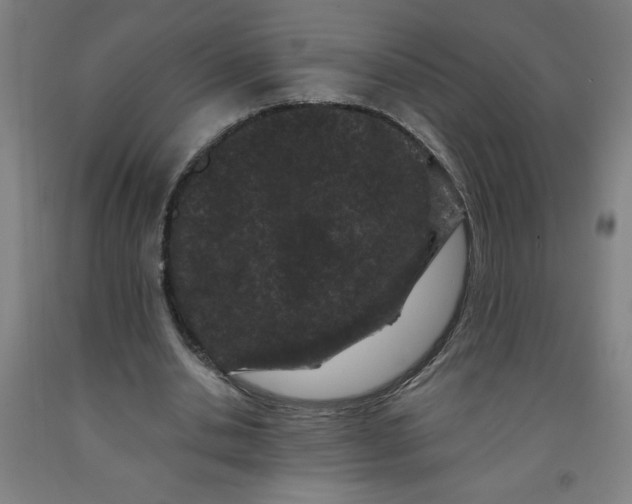 X0000091880438200709261354