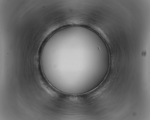 X0000091880439200709261354