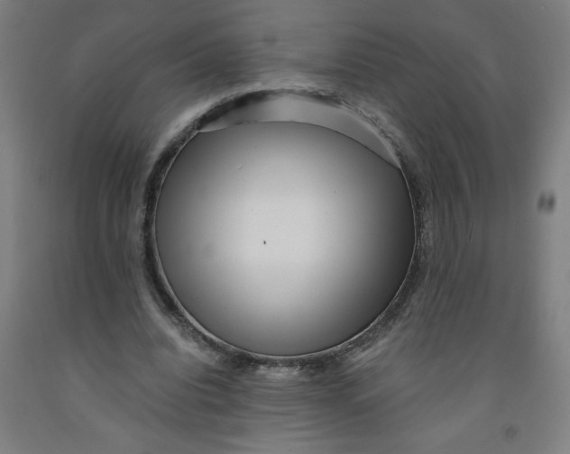 X0000091880440200709261354