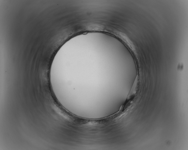 X0000091880441200709261354