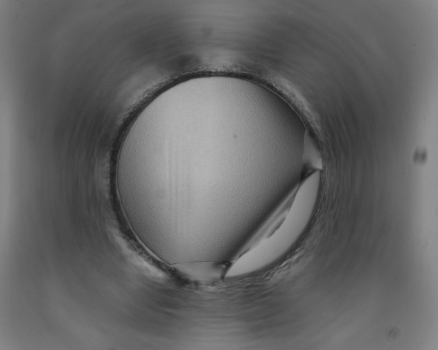 X0000091880442200709261354