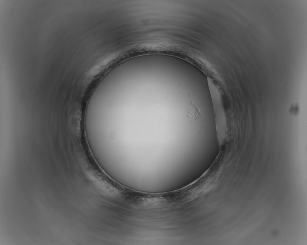 X0000091880446200709261354