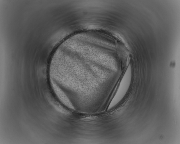 X0000091880447200709261355