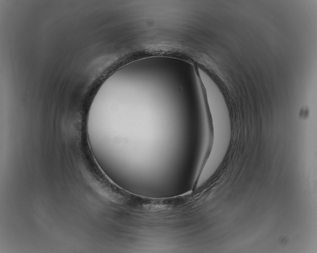 X0000091880448200709261355