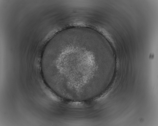 X0000091880449200709261355