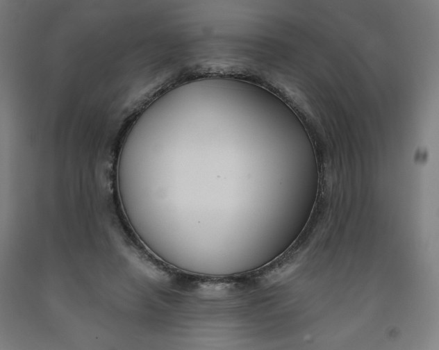 X0000091880450200709261355