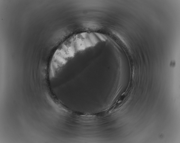 X0000091880451200709261355