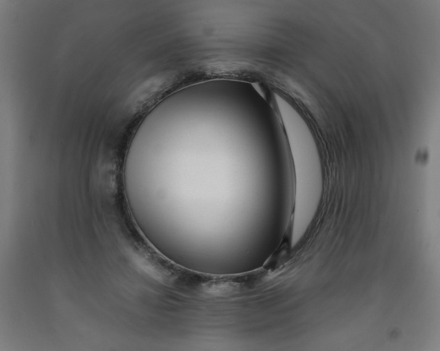 X0000091880452200709261355