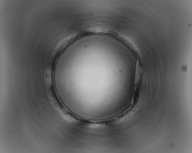 X0000091880453200709261355