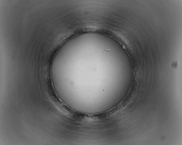 X0000091880455200709261355