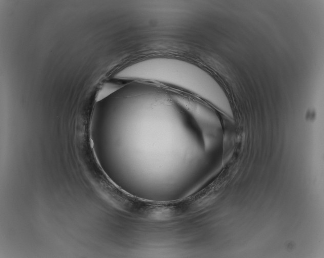 X0000091880456200709261355