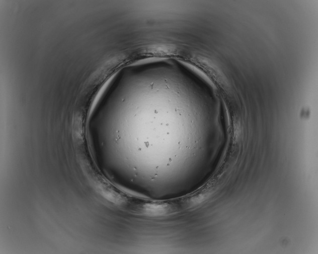 X0000091880457200709261355