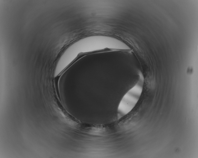 X0000091880458200709261355