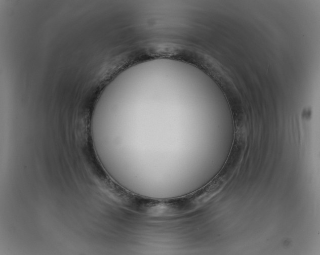 X0000091880460200709261355