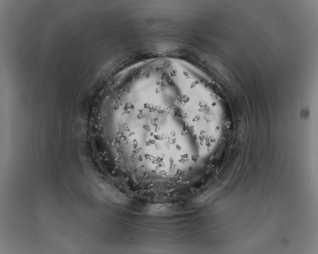 X0000091880461200709261355