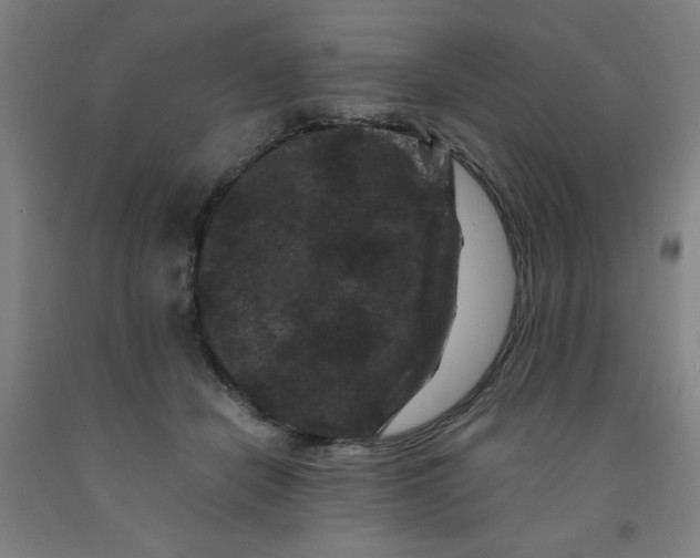 X0000091880462200709261355