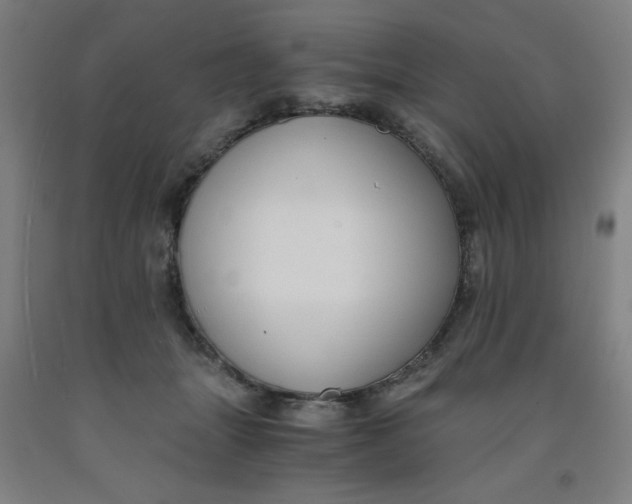 X0000091880463200709261355