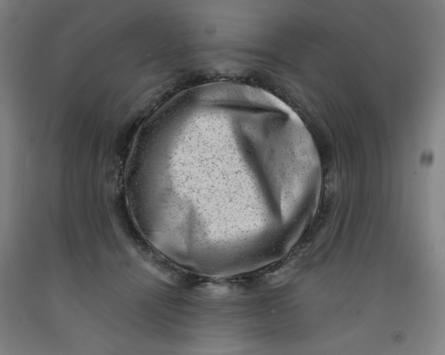 X0000091880464200709261355