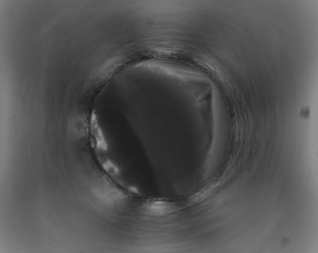 X0000091880467200709261355