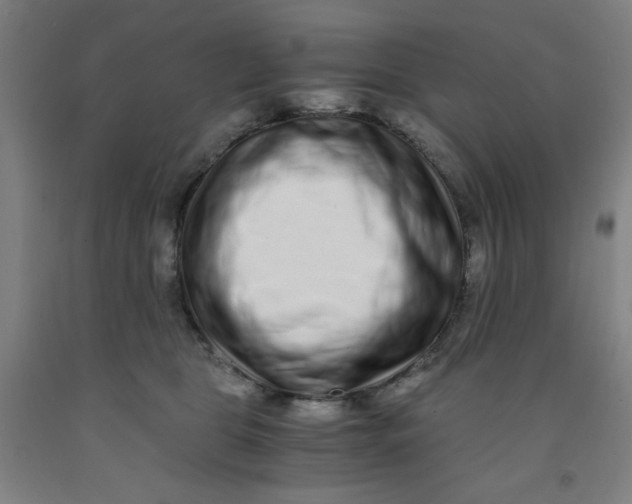 X0000091880469200709261355