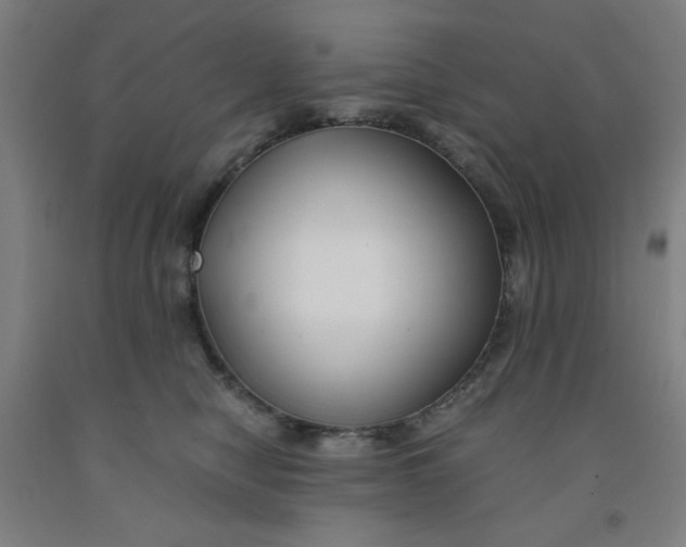 X0000091880470200709261355