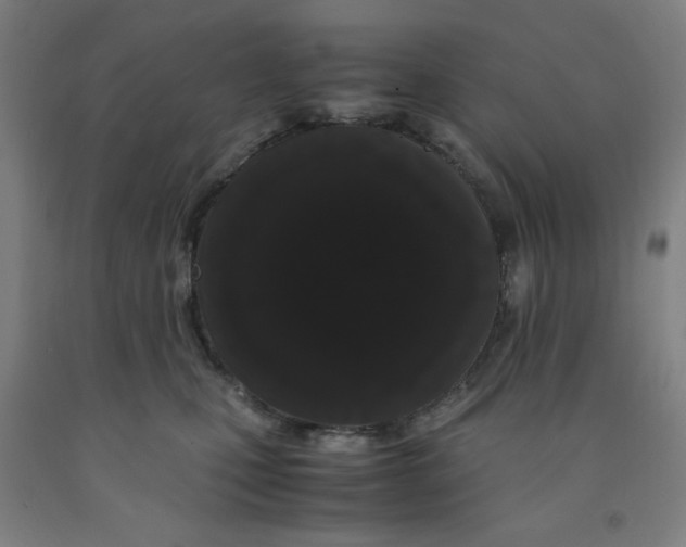 X0000091880471200709261355