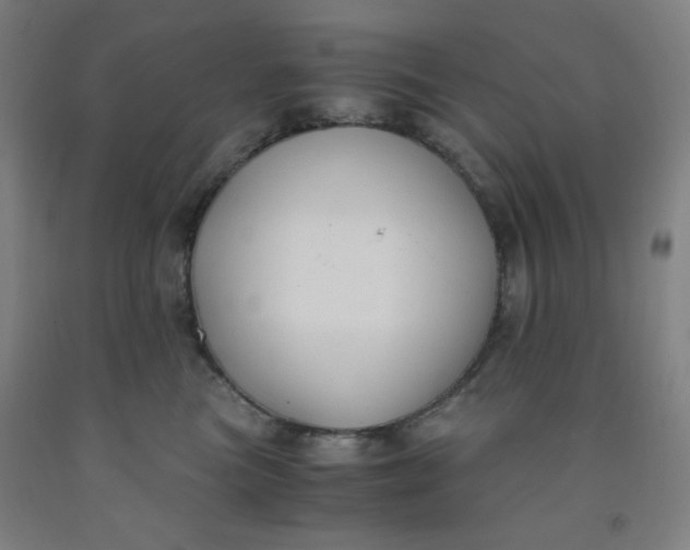 X0000091880473200709261355