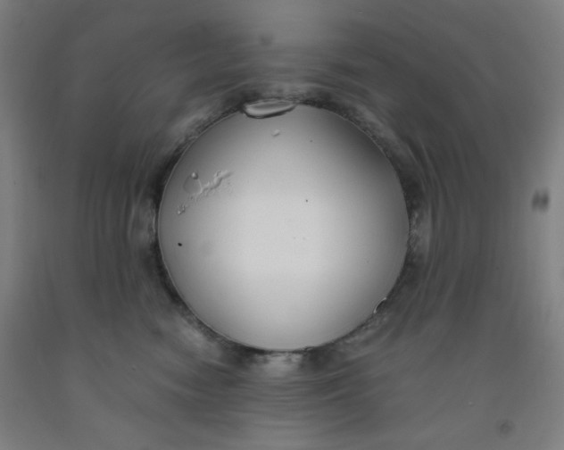 X0000091880474200709261355