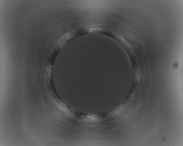 X0000091880475200709261355