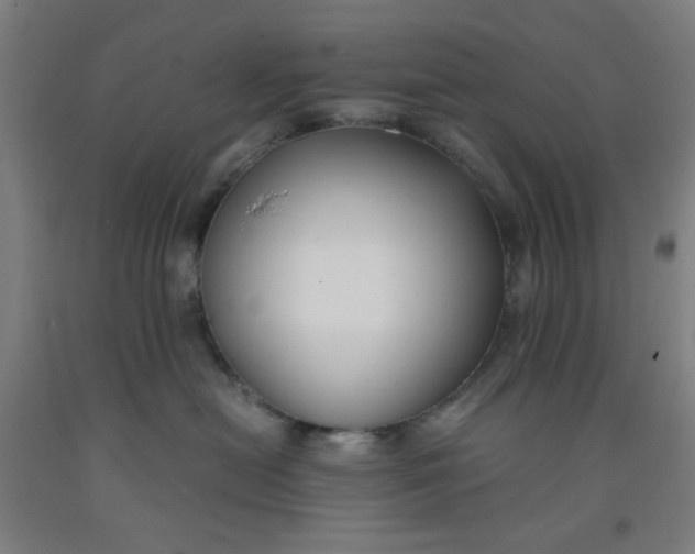 X0000091880478200709261355