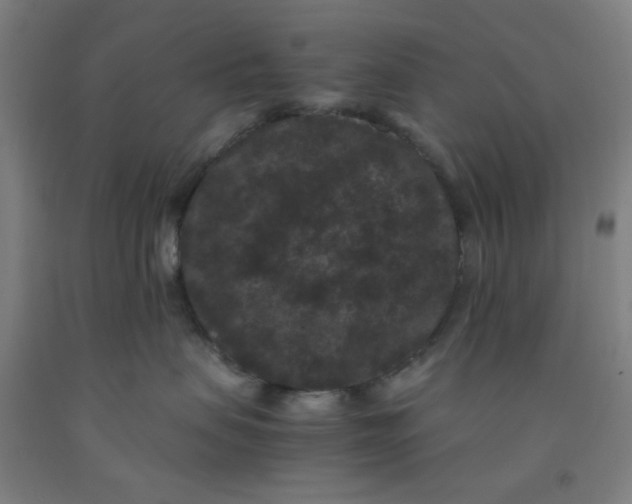 X0000091880479200709261355