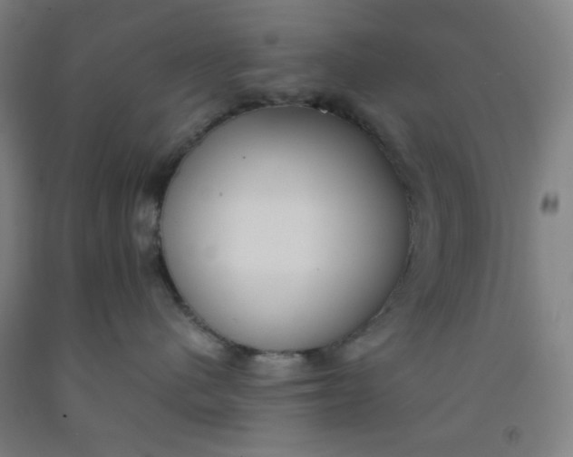 X0000091880480200709261355